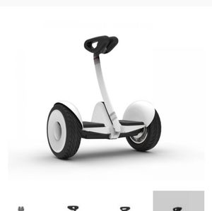 Segway Ninebot S